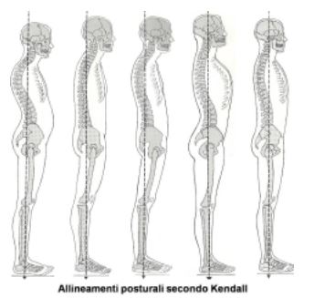 Figura 2: allineamenti posturali secondo Kendall e altri, 2002.  